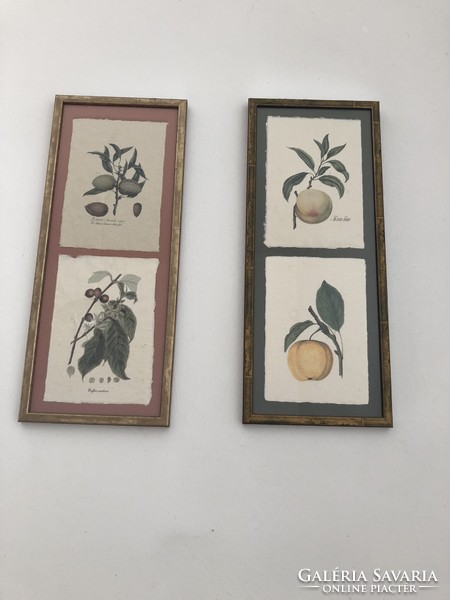 2 x 2 vintage botanical illustrations in a bronze frame, almond - arabica coffee / peach-apple