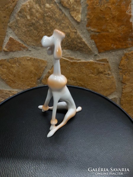 Gyönyörű Hollóházi porcelán uszkár kutya pudel  nipp Gyűjtői nosztalg