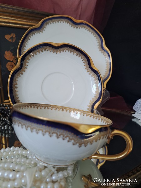 Haviland Limoges collector's porcelain tea cup