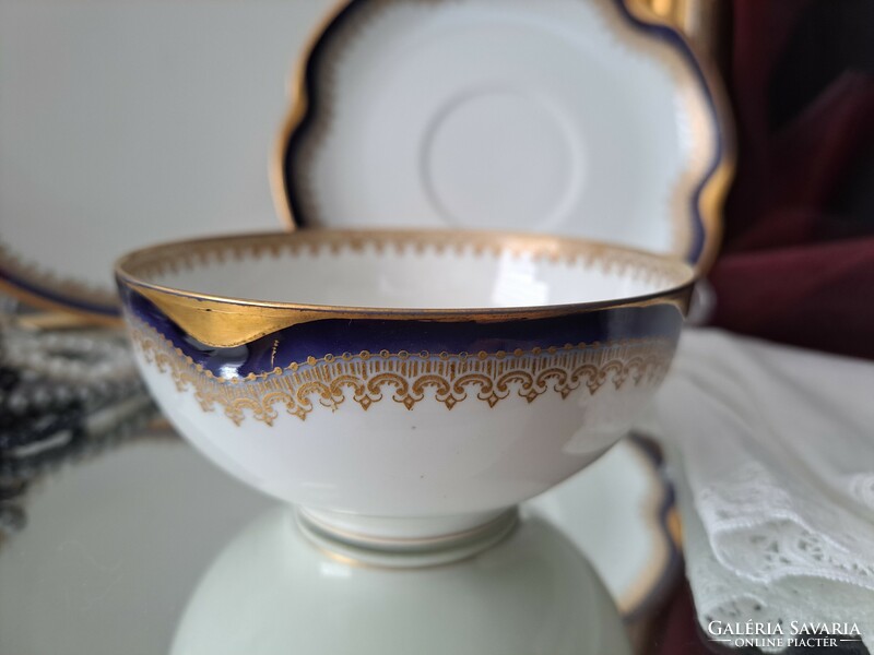Haviland Limoges collector's porcelain tea cup