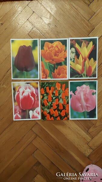 Virágos képeslapok régi postatiszta üdvözlőlap tulipánok