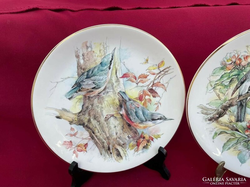 Gyönyörű angol madaras tányérok tányér madár England