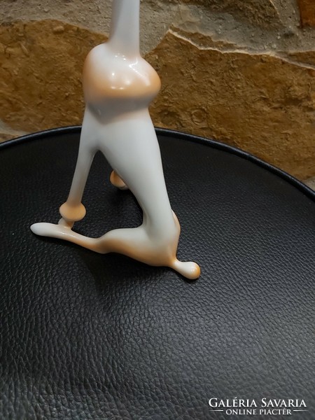 Gyönyörű Hollóházi porcelán uszkár kutya pudel  nipp Gyűjtői nosztalg