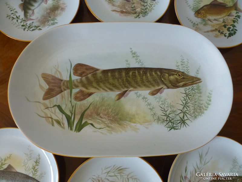 Gyönyörű halas porcelán étkészlet