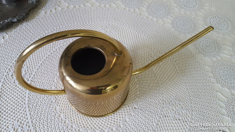 Gold-colored, stainless houseplant watering can