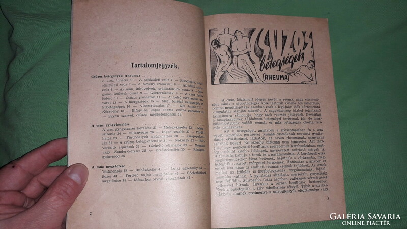 1930. cca Dr. Zemplényi Imre - Csúzos betegségek könyv a képek szerint Élet és Egészség