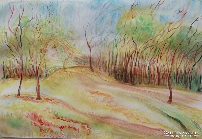 Hill in the arboretum - watercolor painting