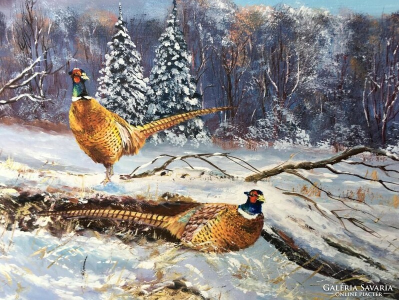 60X40 cm pheasant c. A wild painting with a solid wooden picture frame!
