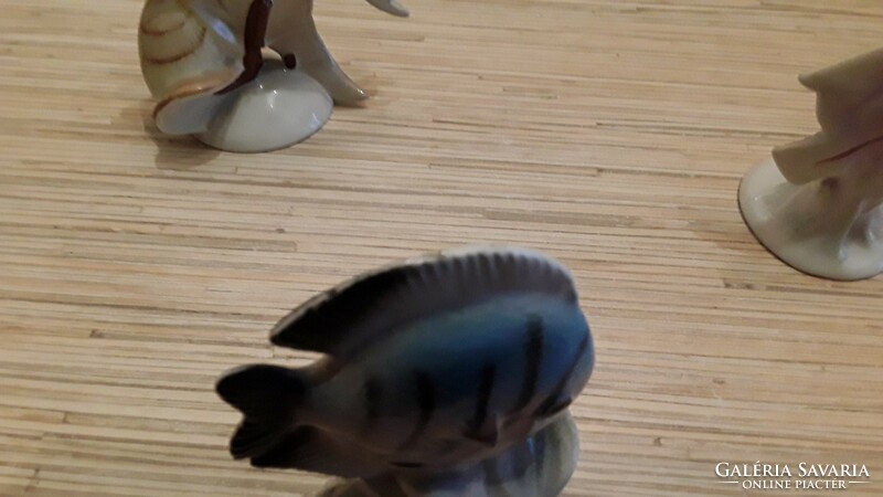 Porcelain fish.