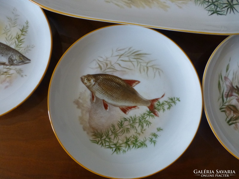 Beautiful fish porcelain tableware