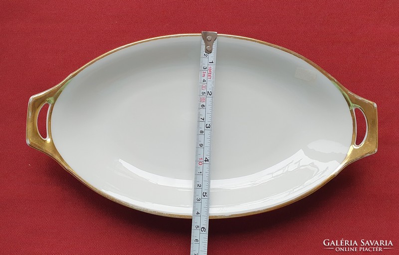 Thomas bavaria German porcelain serving bowl serving bowl center table with gold edge