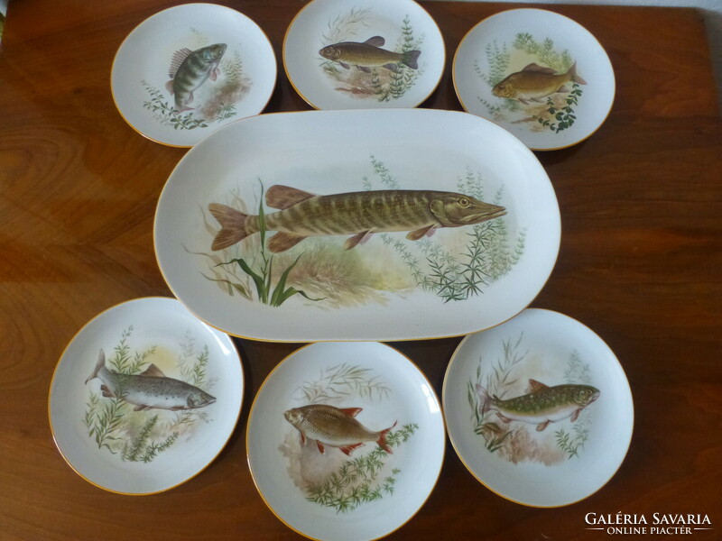 Beautiful fish porcelain tableware