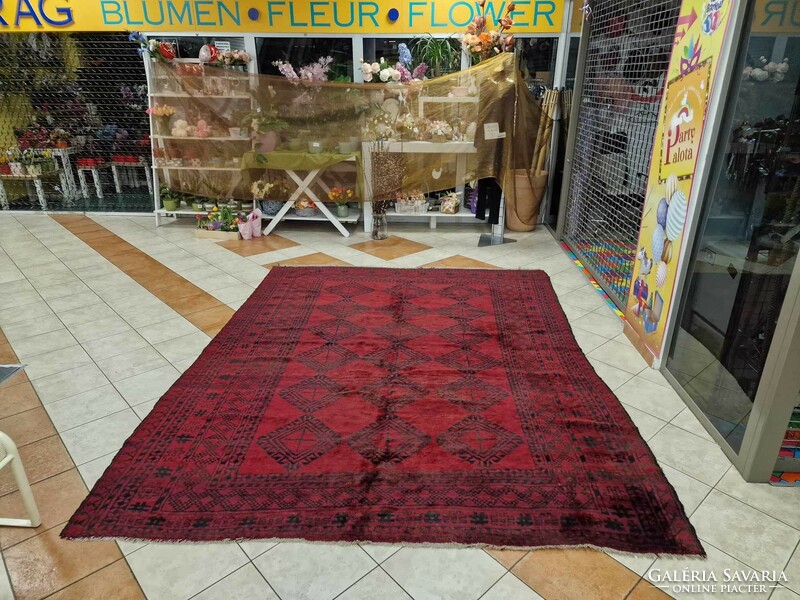 Huge 250x330 afghan zahirsah hand wool persian rug bfz584