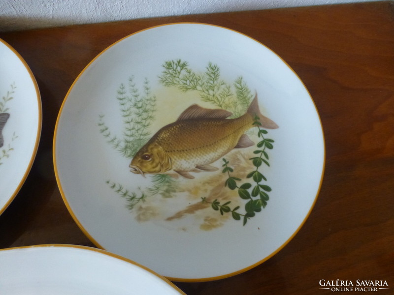 Gyönyörű halas porcelán étkészlet