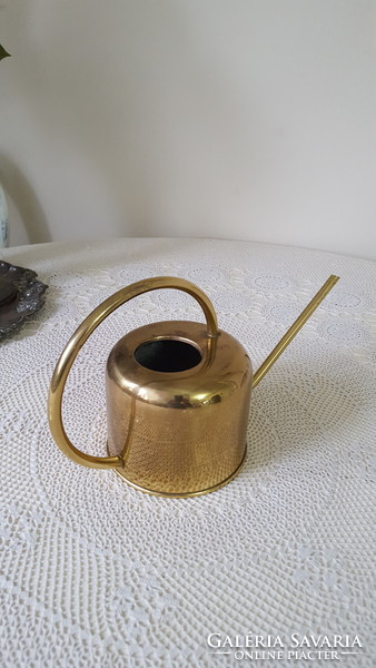 Gold-colored, stainless houseplant watering can