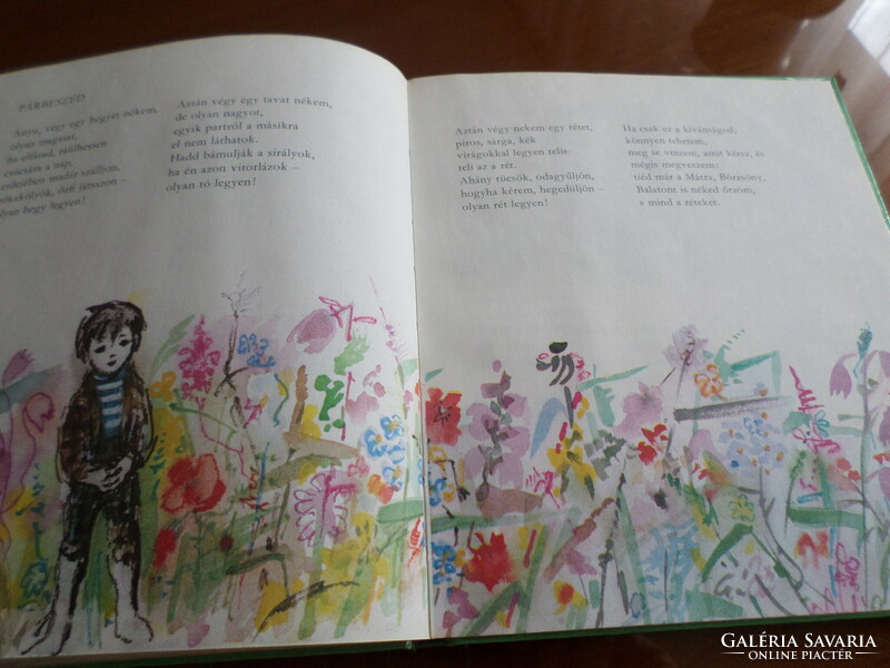 Zelk flies in the forest with Róna Emy's drawings, 1983