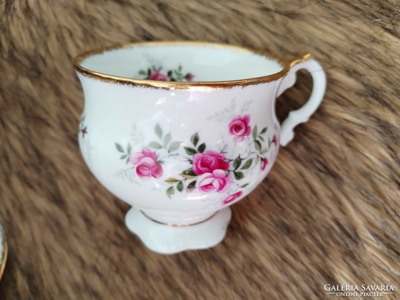 Staffordshire, Elizabethan - English porcelain coffee / 1 person