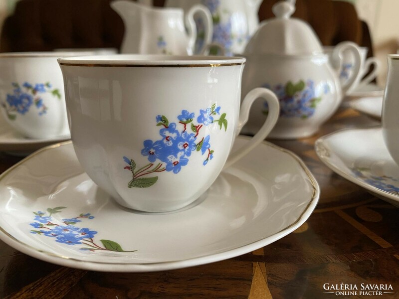 A very nice blue flower pattern decorative Arpo porcelain coffee mocha complete set