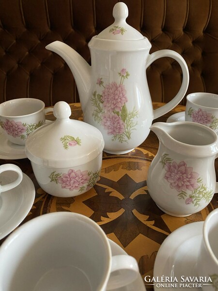 Fine-looking floral kahla porcelain mocha coffee complete set