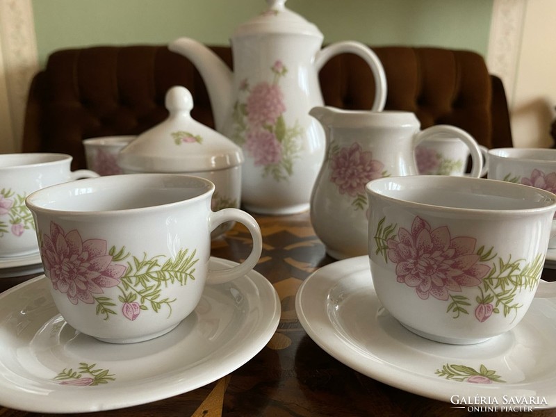 Fine-looking floral kahla porcelain mocha coffee complete set