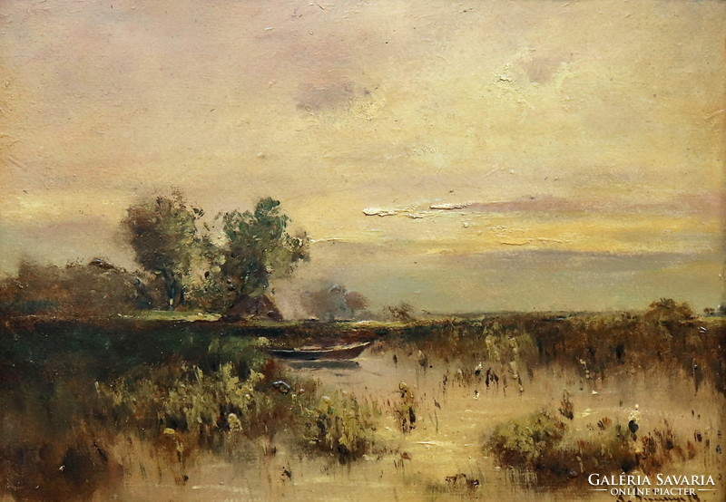 Béla K. Spányi: marshy landscape