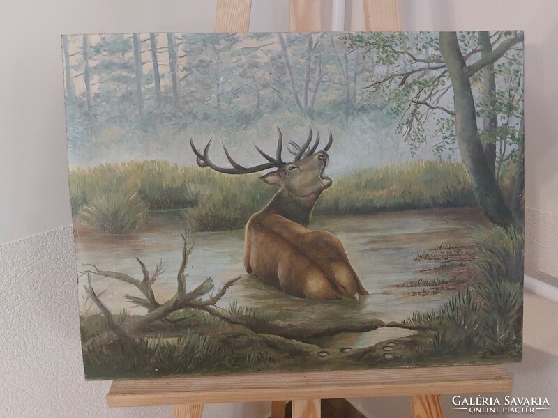 (K) signed stag painting 56x42 cm