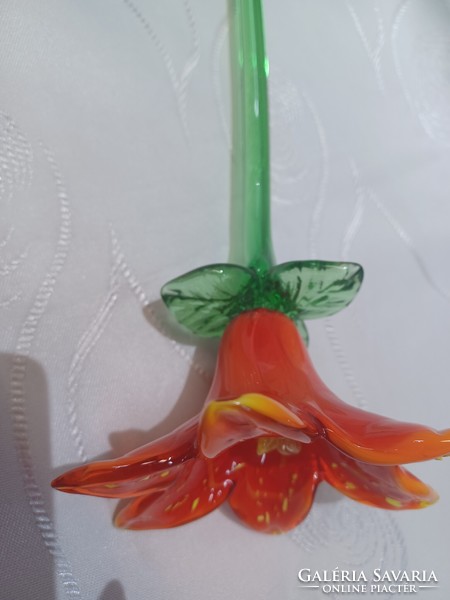 Üveg virág 50 cm