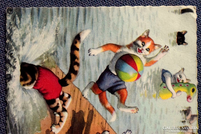 Old retro humorous graphic postcard cat - water accident