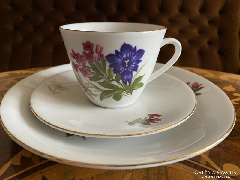 Beautiful seltmann weiden bavaria, retro flower pattern complete porcelain breakfast set