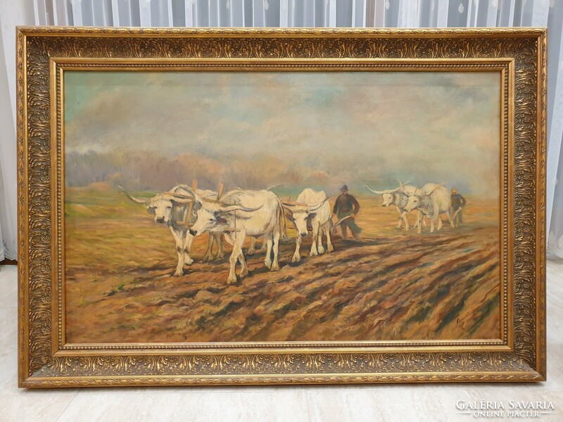 Károly Cserna, ploughing