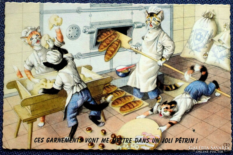 Old retro humorous graphic postcard cat bakery, bread kneading