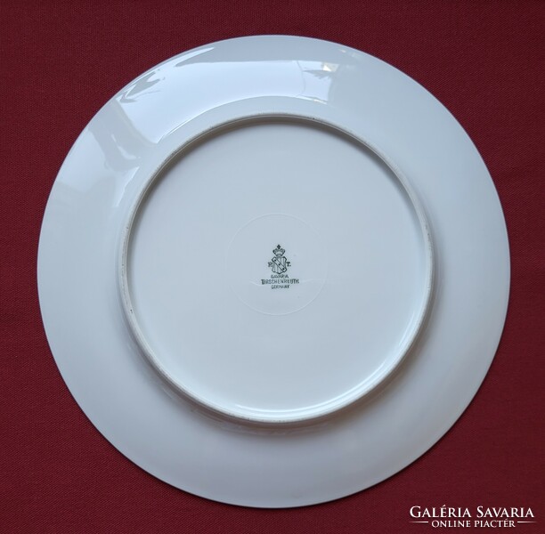 Tirschenreuth bavaria German porcelain serving bowl plate offering gold wind flower pattern