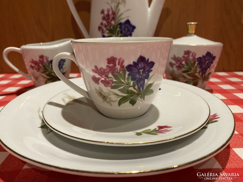 Beautiful seltmann weiden bavaria, retro flower pattern complete porcelain breakfast set