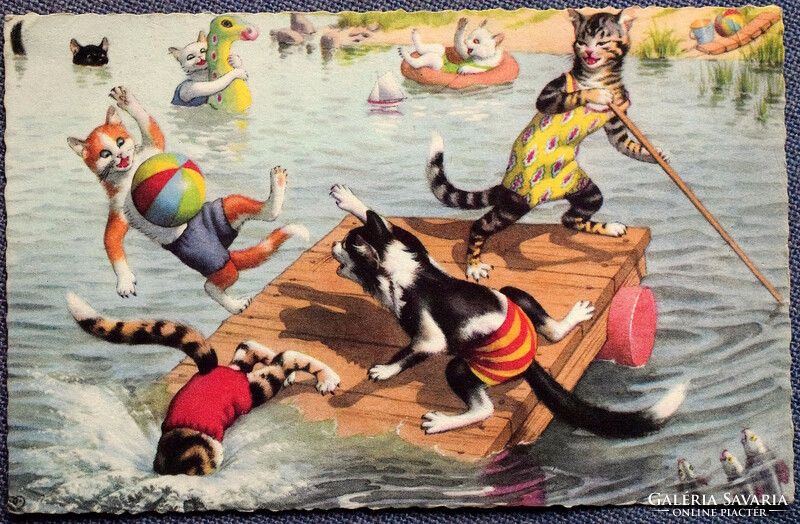 Régi retro humoros grafikus képeslap cica  - vízibaleset