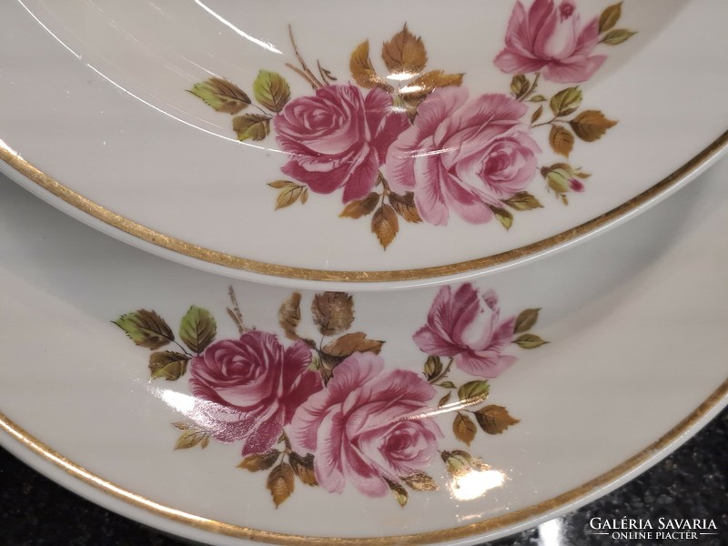 Zsolnay rose plate series flat plate deep plate