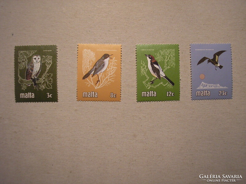 Malta fauna, birds 1981