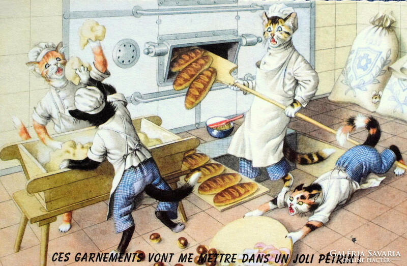 Old retro humorous graphic postcard cat bakery, bread kneading