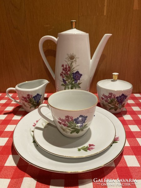 Beautiful seltmann weiden bavaria, retro flower pattern complete porcelain breakfast set