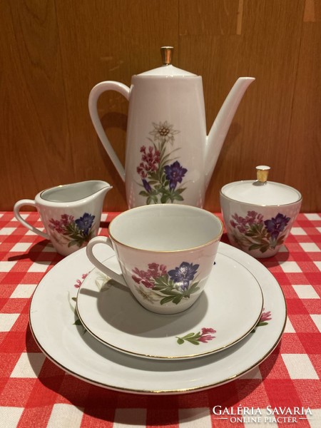 GYÖNYÖRŰ SELTMANN WEIDEN BAVARIA, RETRO VIRÁGMINTÁS KOMPLETT PORCELÁN REGGELIZŐ SZETT