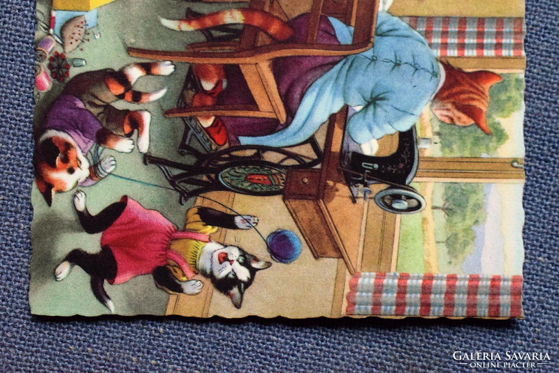 Old retro humorous graphic postcard cat family, grandmother sewing, grandfather sleeping..