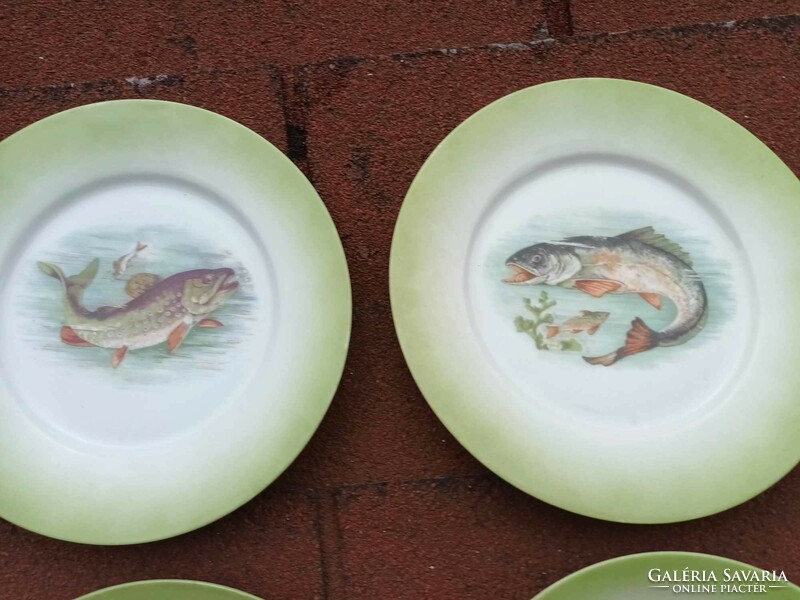 Viktoria austria fish cake plate set for 4 people