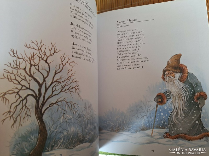Snowflake Christmas with beautiful drawings by Zsuzsa Füzesi.