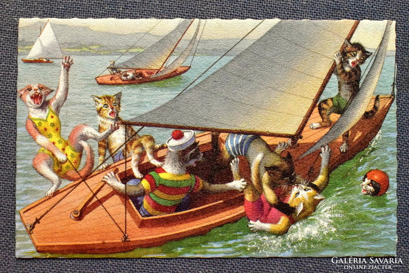 Old retro humorous graphic postcard cat - sailing