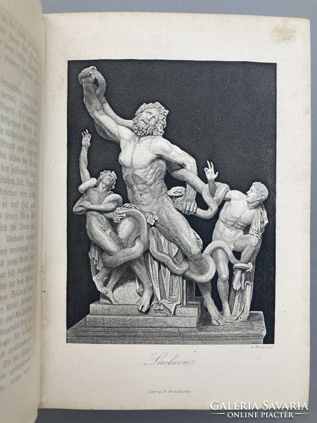 16 acélmetszettel és számos fametszettel díszített aranyozott lapélű XIX. századi antik német könyv