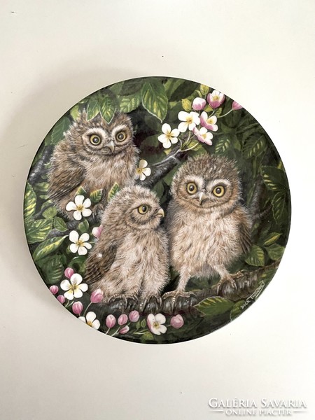 Beautiful Wedgwood English porcelain plate with 3 baby owls 16.5 cm