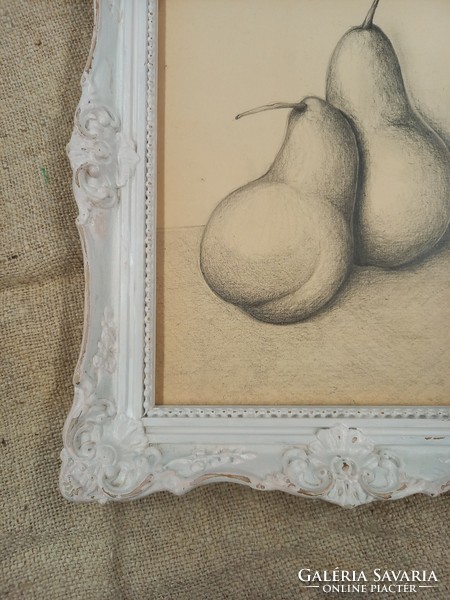 Vintage image of pear pencil drawing