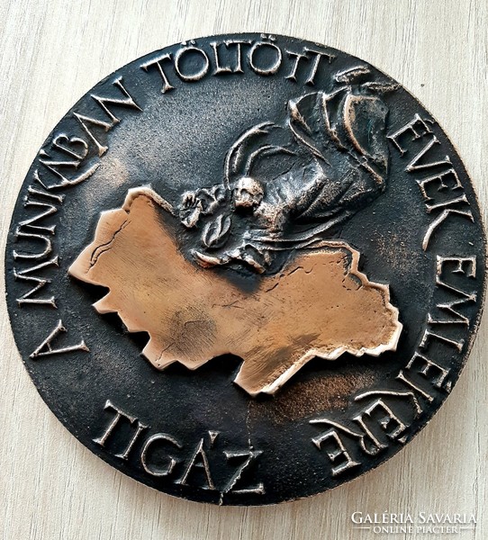 TIGÁZ  A Munkában Töltött Évek Emlékére bronz emlék plakett 9,8 cm saját dobozában