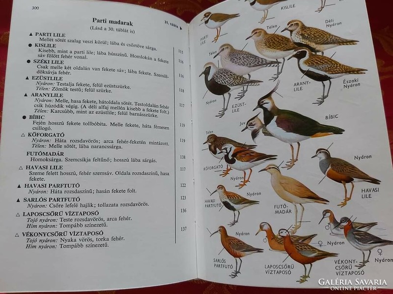 Peterson - Mountfort : Birds of Europe