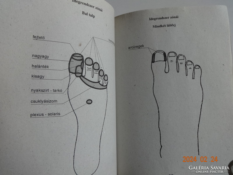 Hanna parrot: foot control - reflexology for everyone