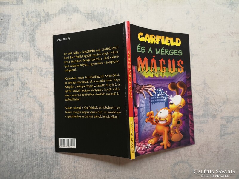 Michael Teitelbaum - Garfield és a mérges Mágus